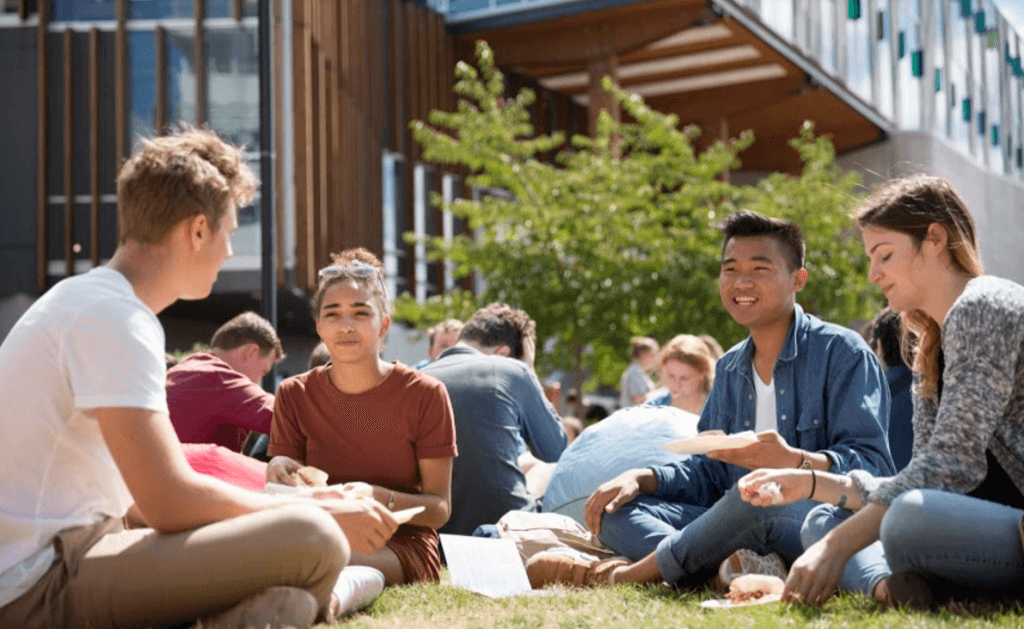 Experience of studying abroad in New Zealand